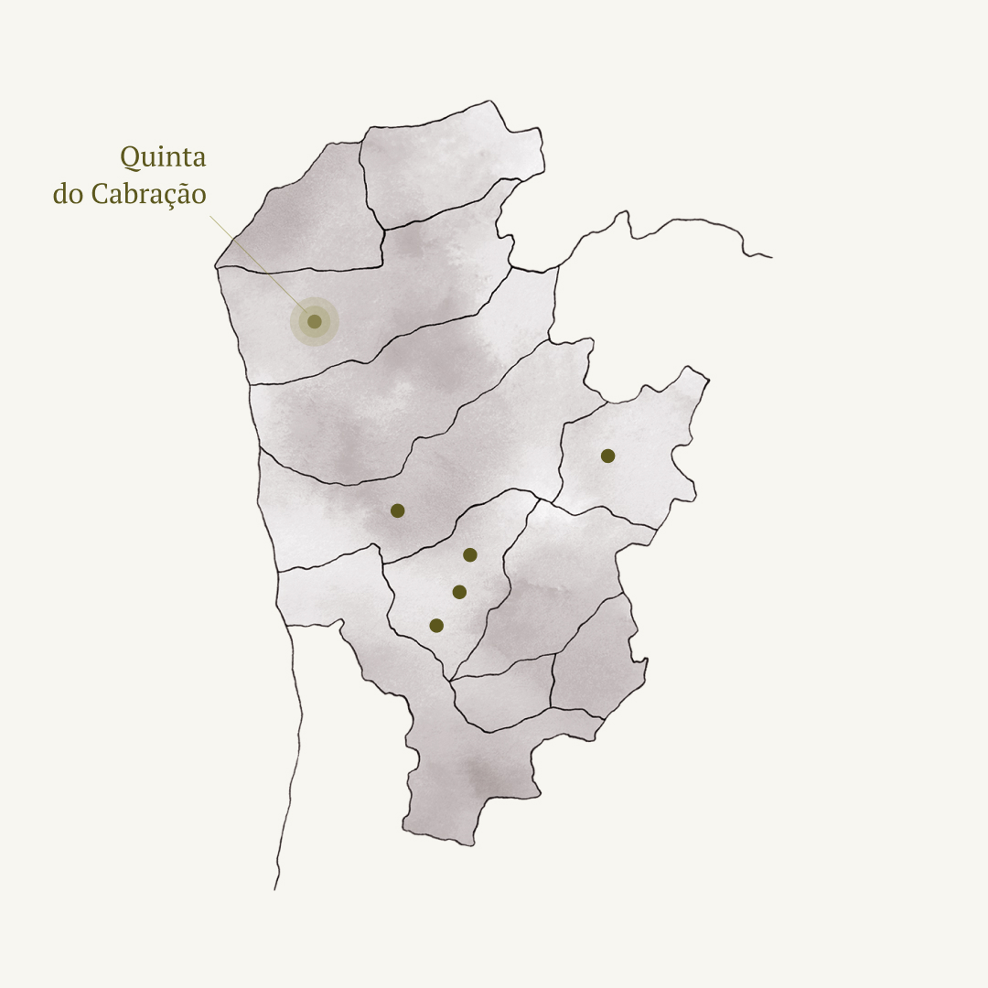 Quinta de Cabração